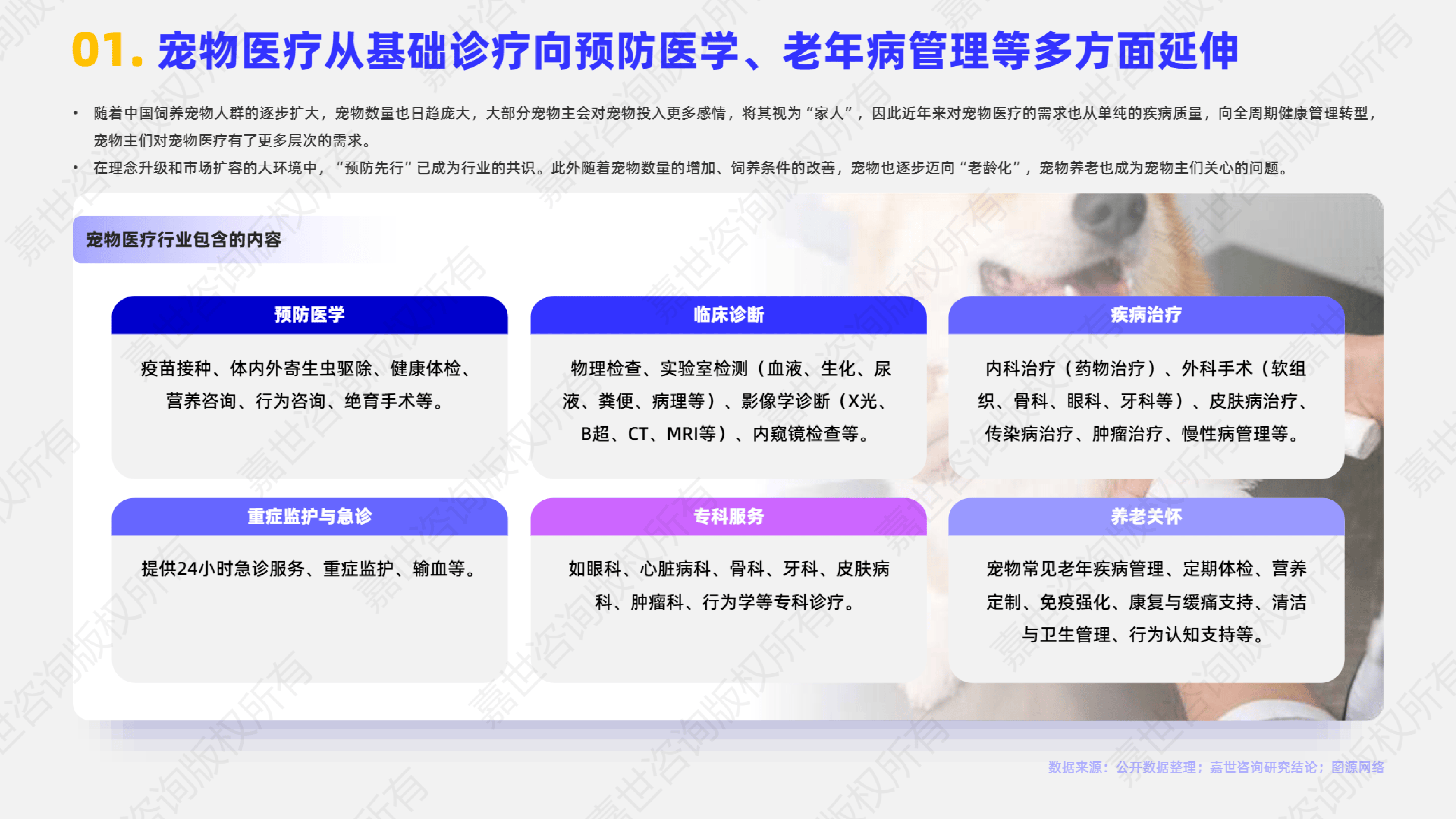 2025中国宠物殡葬行业市场现状分析及未来发展前景预测_人保财险政银保 ,人保护你周全