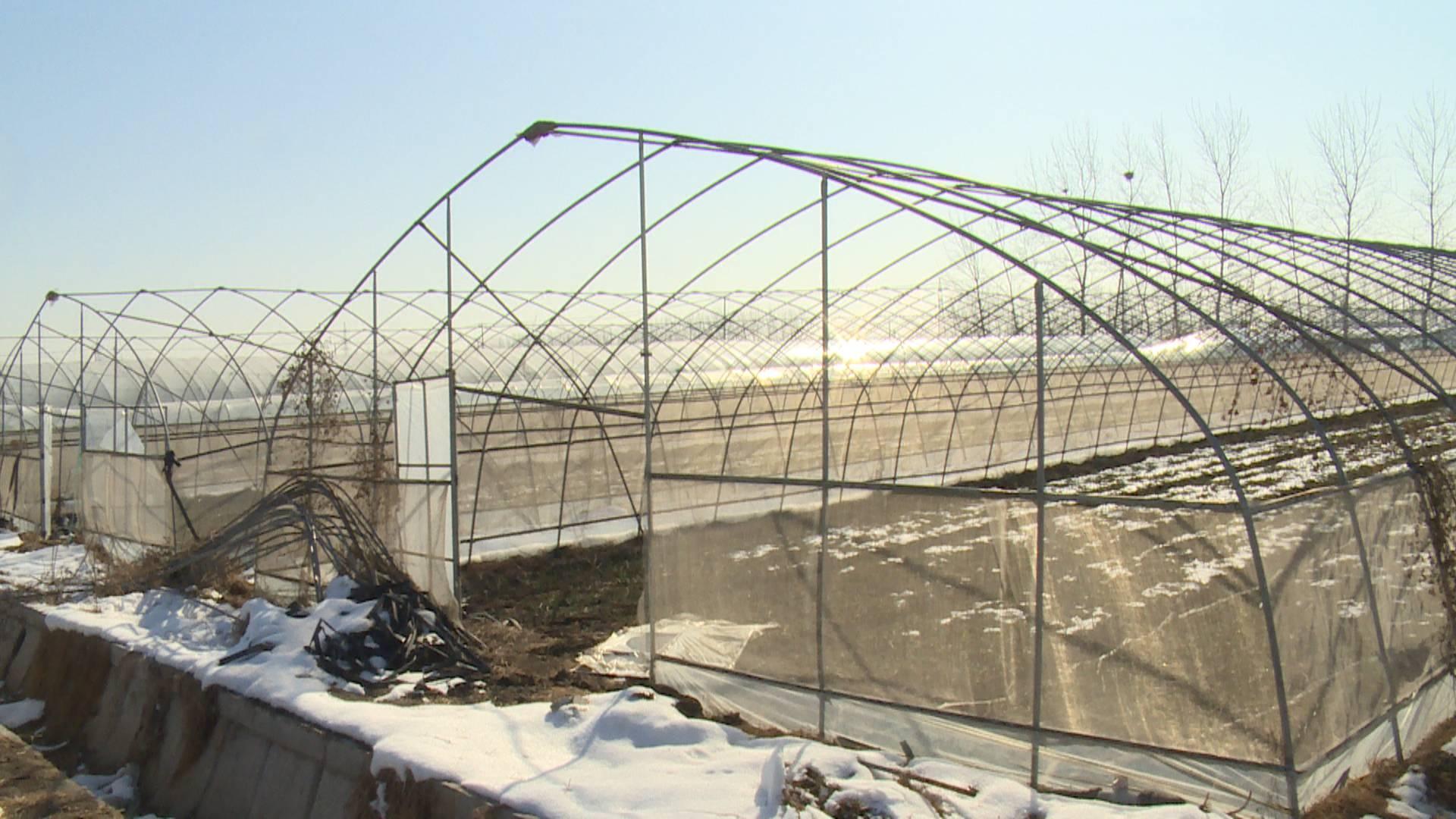 2024年塑料大棚行业发展现状、竞争格局及未来发展趋势分析_人保服务 ,人保服务