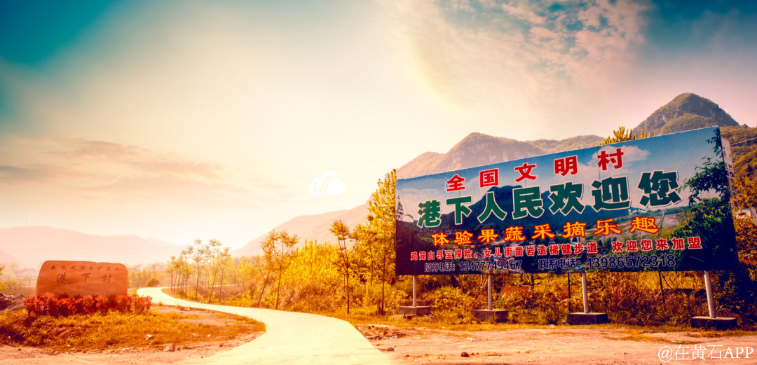 曹县的“逆袭”，从一根网线开始 | 丰收新图景