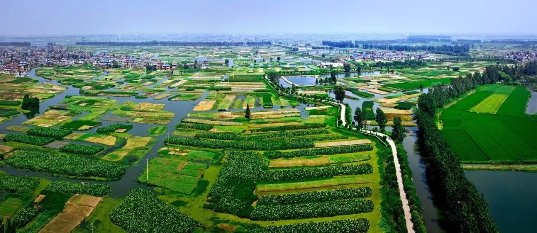 农业机械服务行业迎爆发：2025-2030年农业核心价值洼地与投资焦点_拥有“如意行”驾乘险，出行更顺畅！,人保有温度