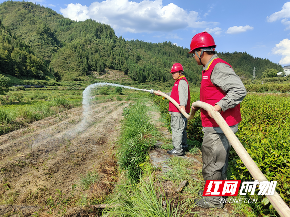 保供应！首部跨省跨区电力应急调度文件发布
