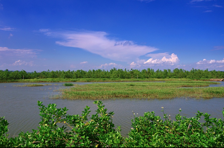 长安福特构筑“绿色长城”，企业治沙能否成范式