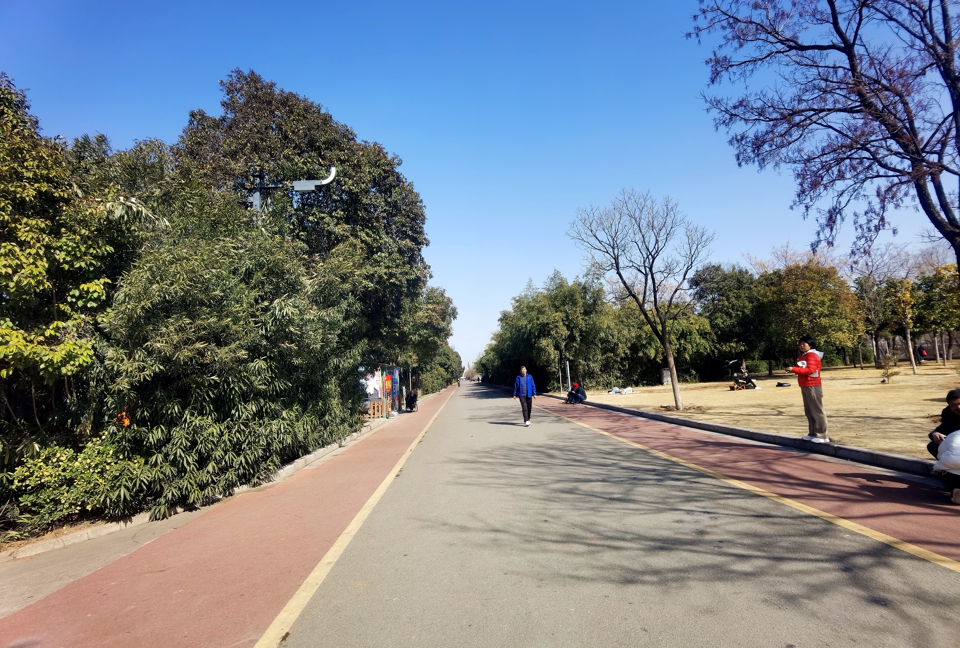 洛水深流，邙山静立，在时光深处遇见洛阳