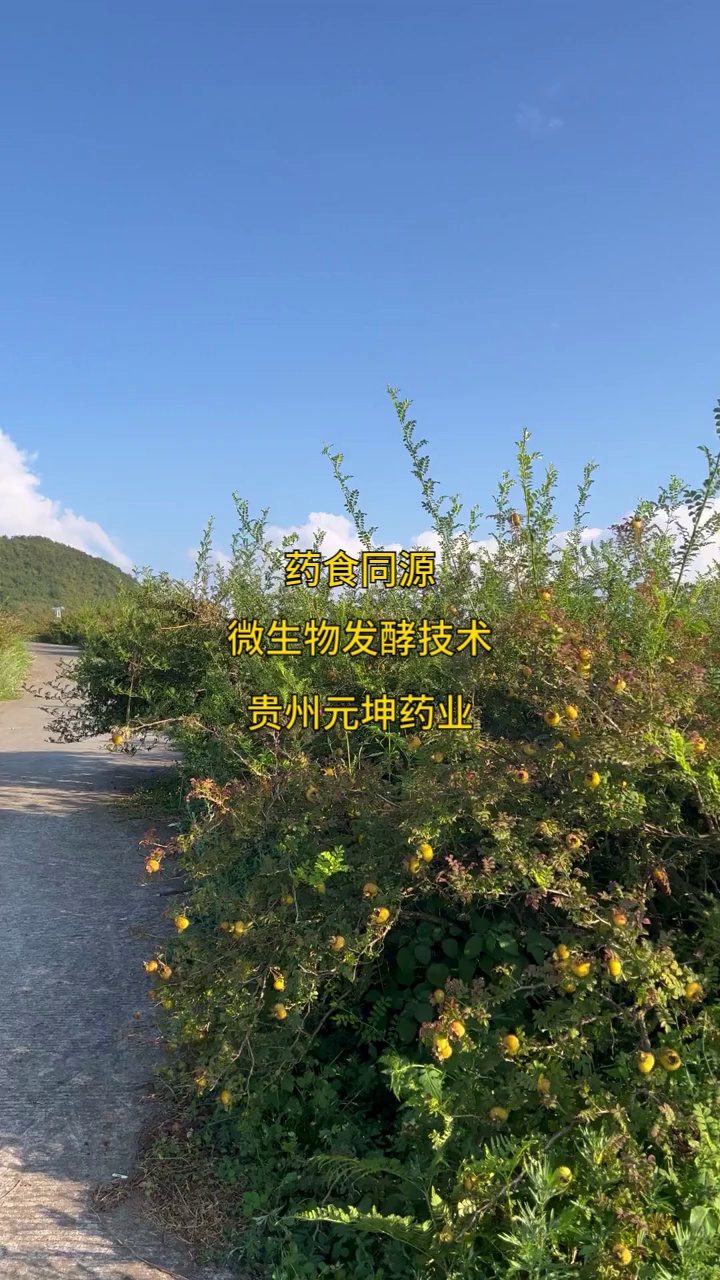 轩竹生物开始招股 主要聚焦肿瘤、消化创新药