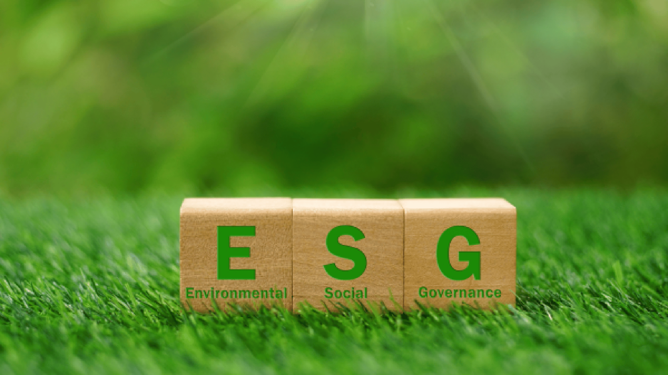 【ESG动态】康惠股份（603139.SH）获华证指数ESG最新评级CC，行业排名第226