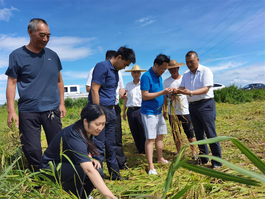 2025年浙江省纺织服装行业发展现状及未来趋势展望分析_人保服务,人保财险 