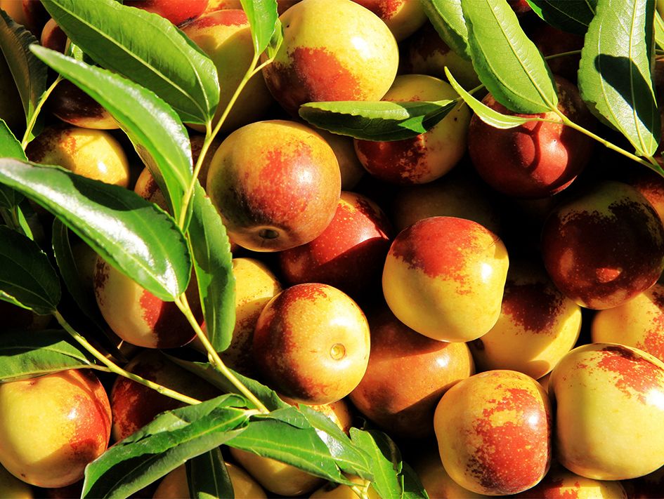 大力支持新疆农业农村高质量发展 扎实有力抓好推进乡村全面振兴各项工作