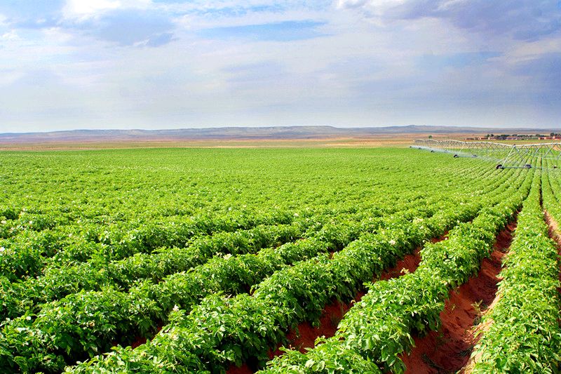 北京市已初步构建绿色经济发展新格局