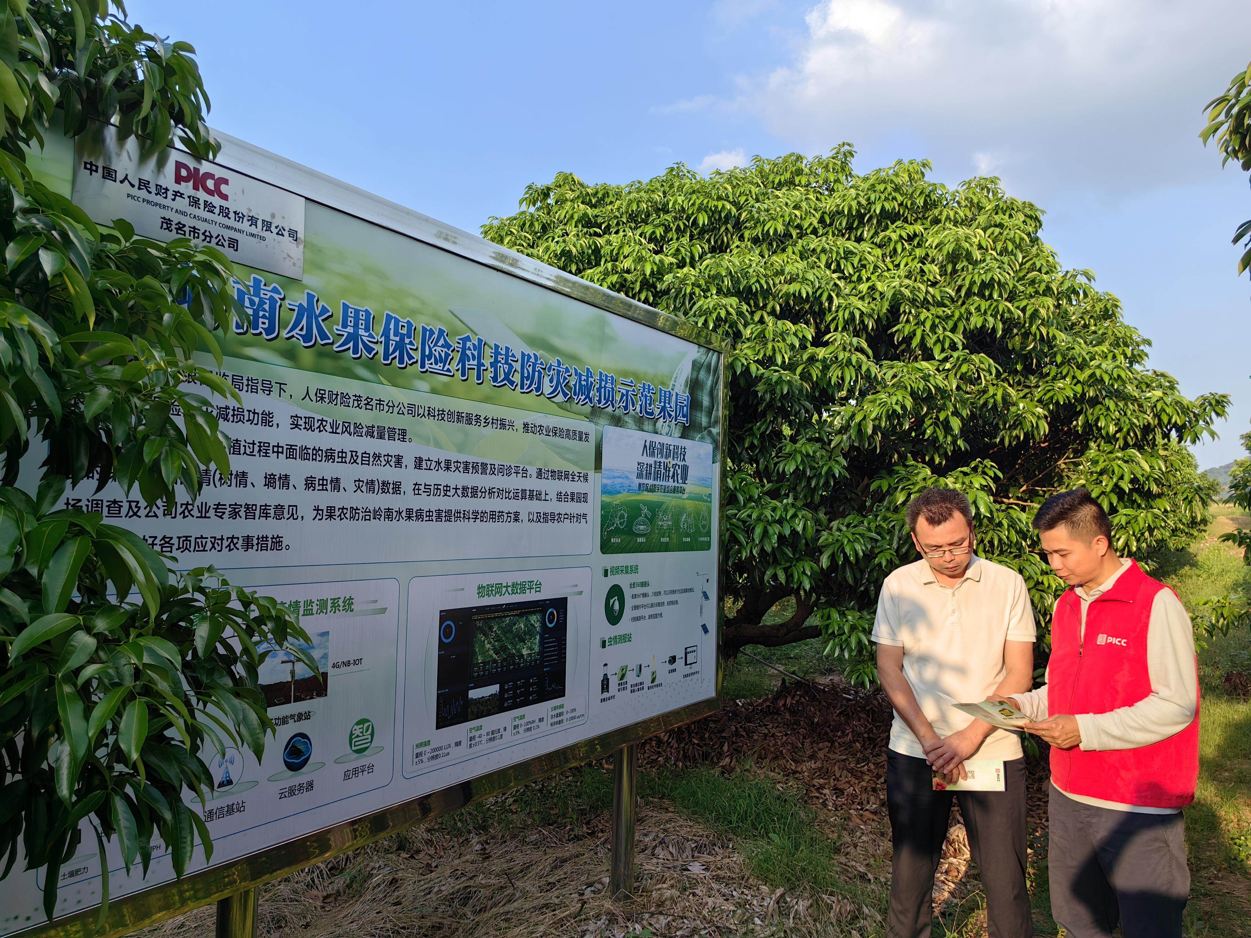 2025年男鞋行业发展现状及未来趋势展望分析_人保服务 ,人保车险   品牌优势——快速了解燃油汽车车险