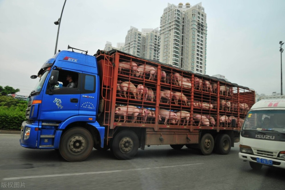 商务部贸易救济调查局将召开相关猪肉及猪副产品反倾销案听证会