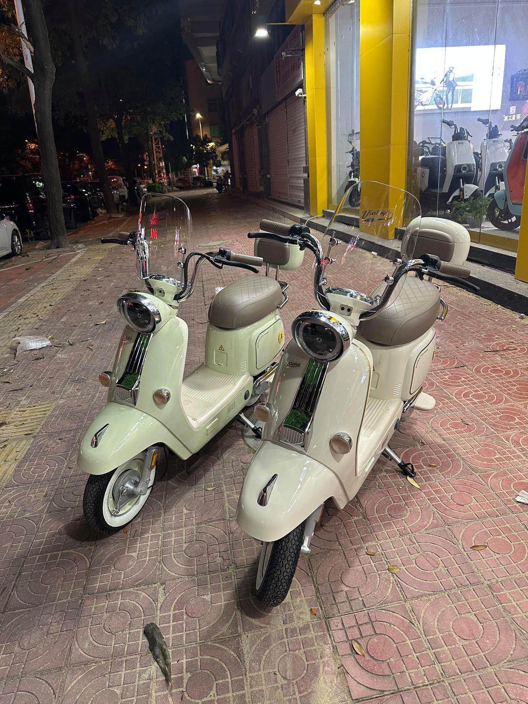 新日股份获得外观设计专利授权：“电动车仪表（摩西）”