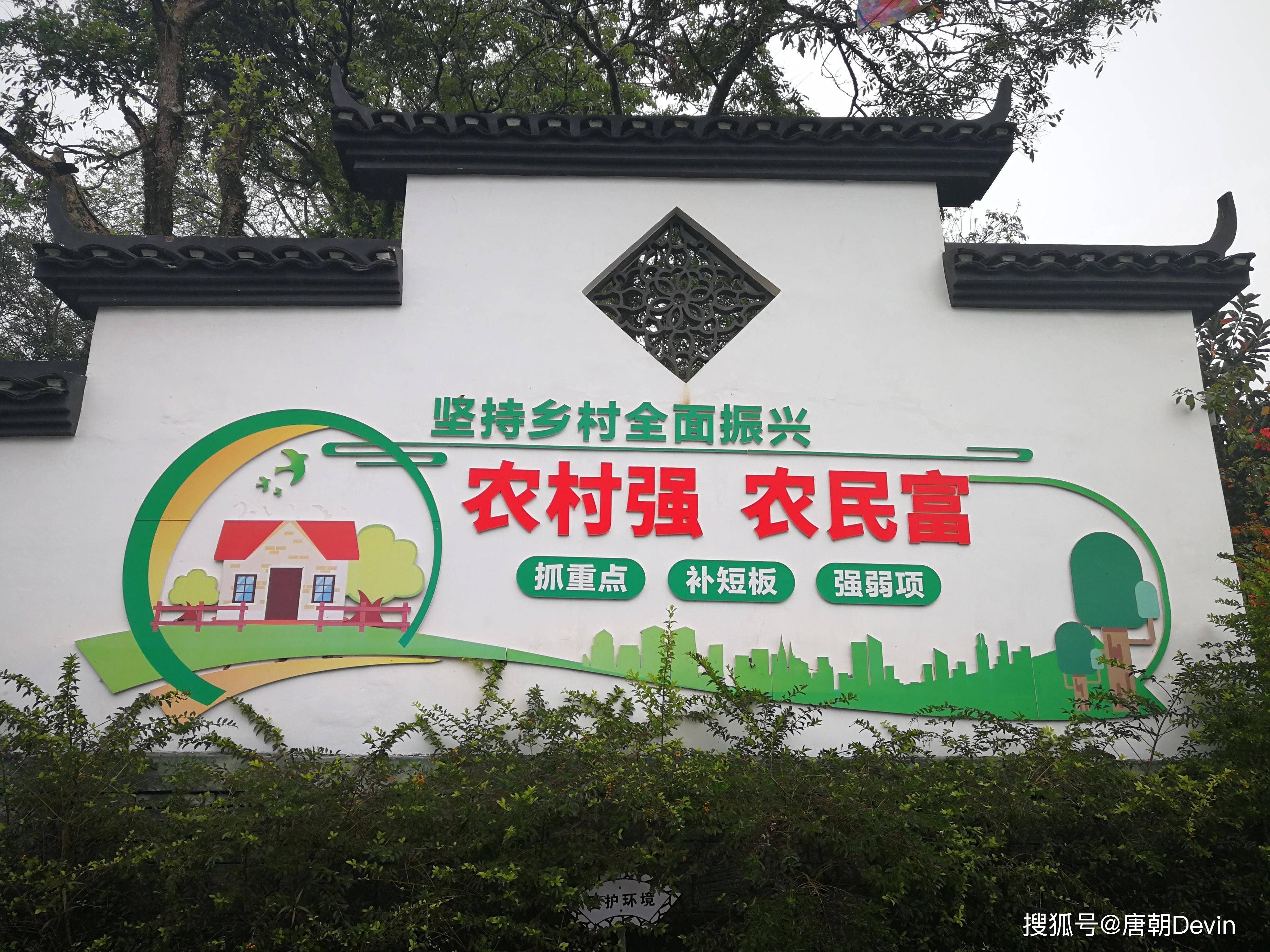 农业大省的乡村振兴探索：以片区建设打造齐鲁样板