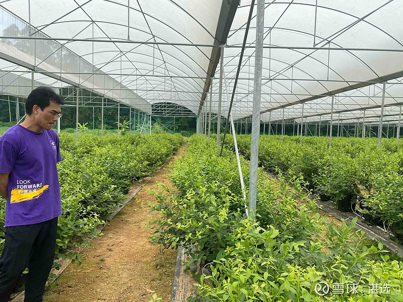 锐新科技聘任李然为董秘：无上市公司董秘工作经验