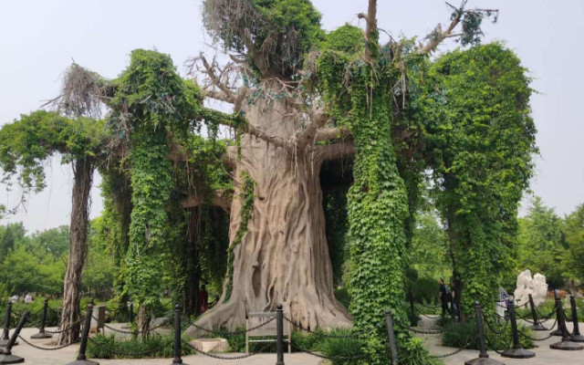 2025植物园行业市场格局及未来发展趋势分析_保险有温度,人保护你周全