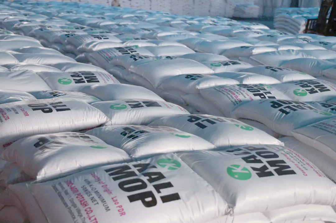 稳健医疗业绩说明会:双主业规模齐破38亿元 未来三年战略规划绘成长蓝图