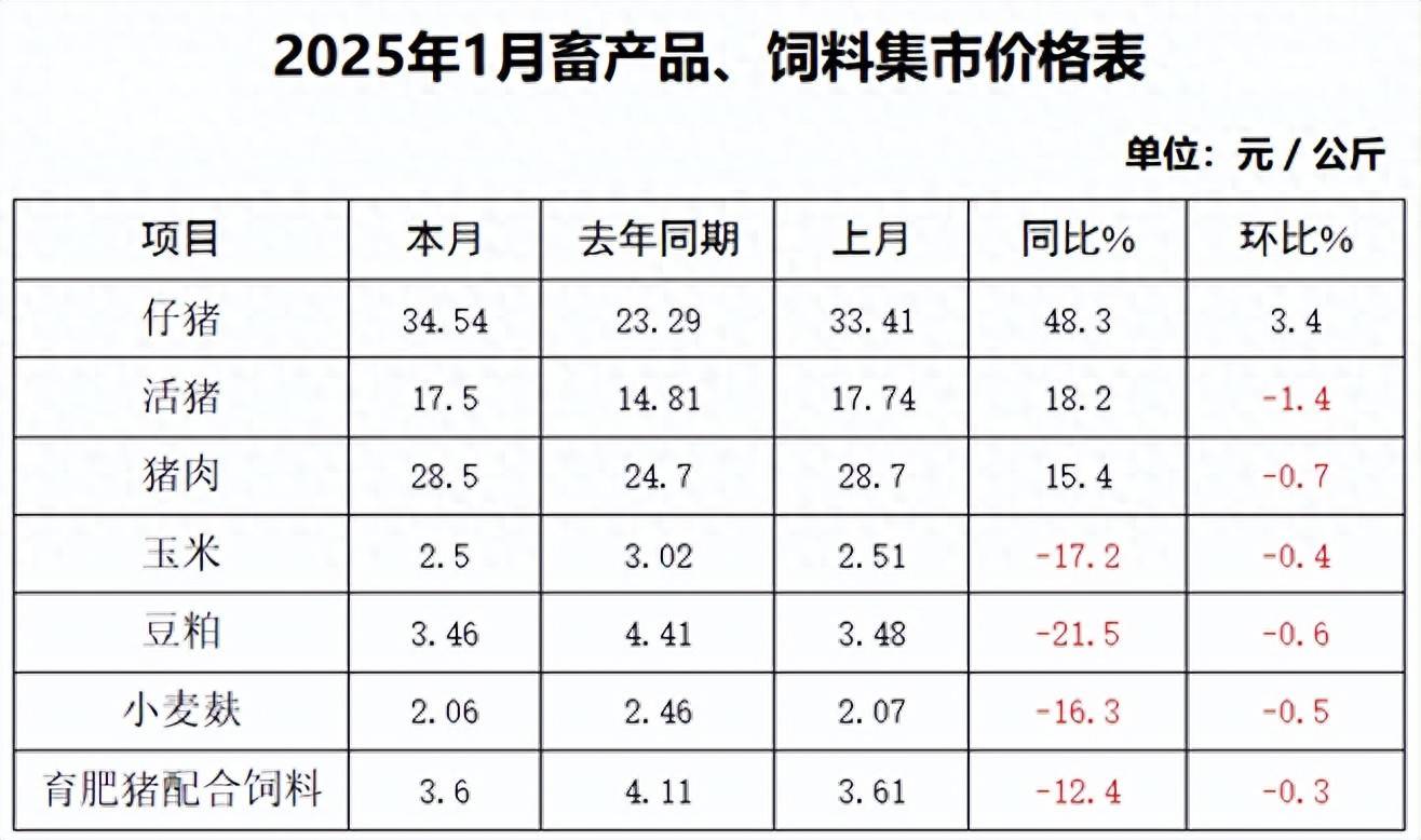 四川双马（000935）2025年三季报简析：营收净利润同比双双增长，三费占比上升明显