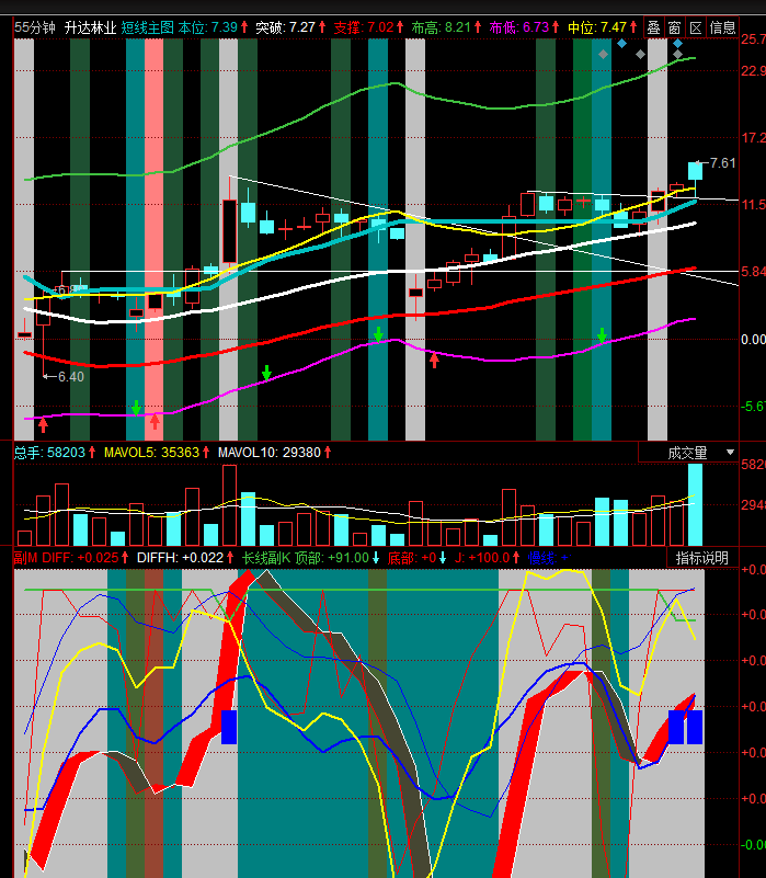 升达林业（002259）2025年三季报简析：营收净利润同比双双增长