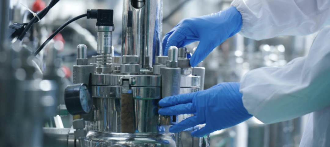 凯赛生物（688065）2025年三季报简析：营收净利润同比双双增长，盈利能力上升