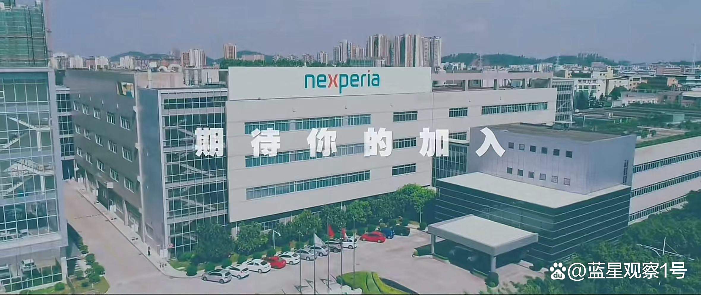 事关安世半导体！商务部，最新发声