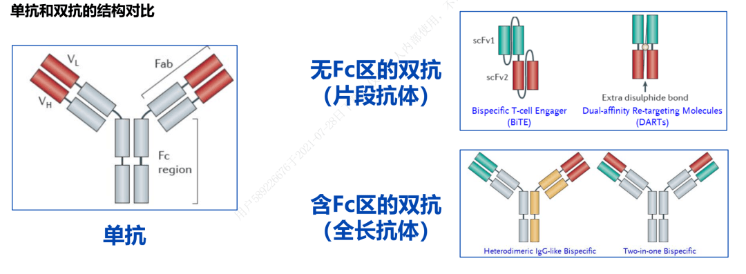 康泰生物获得发明专利授权:“肺炎克雷伯菌的FimA的抗原表位肽及其应用”