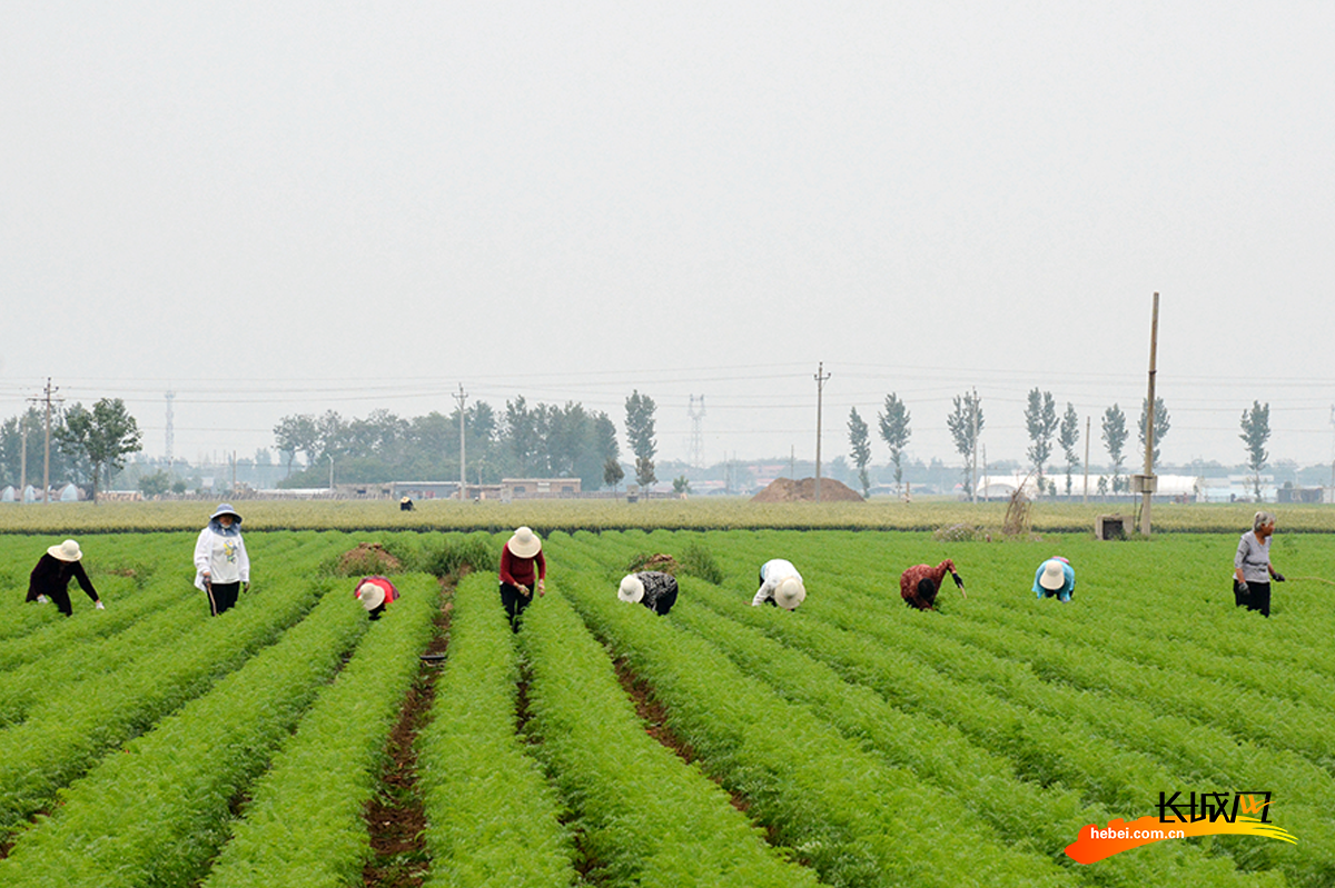 宝洁以创新科技赋能绿色未来，共建可持续美好生活