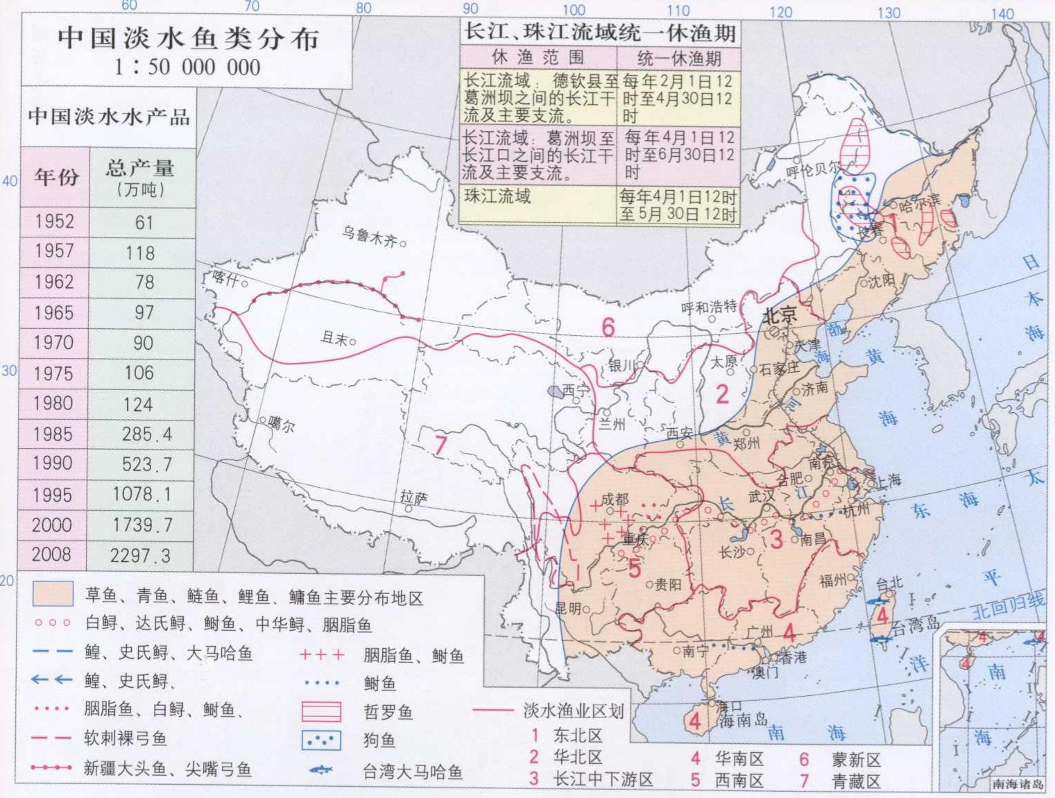 从南粤小镇到全国餐桌： 中山脆肉鲩的产业崛起之路