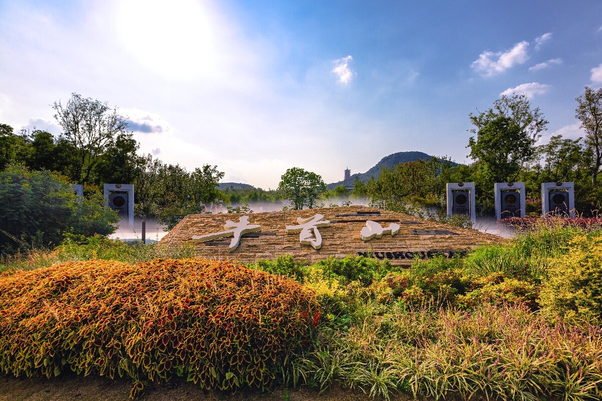 罗 牛 山：大东海退市系因财务类退市指标