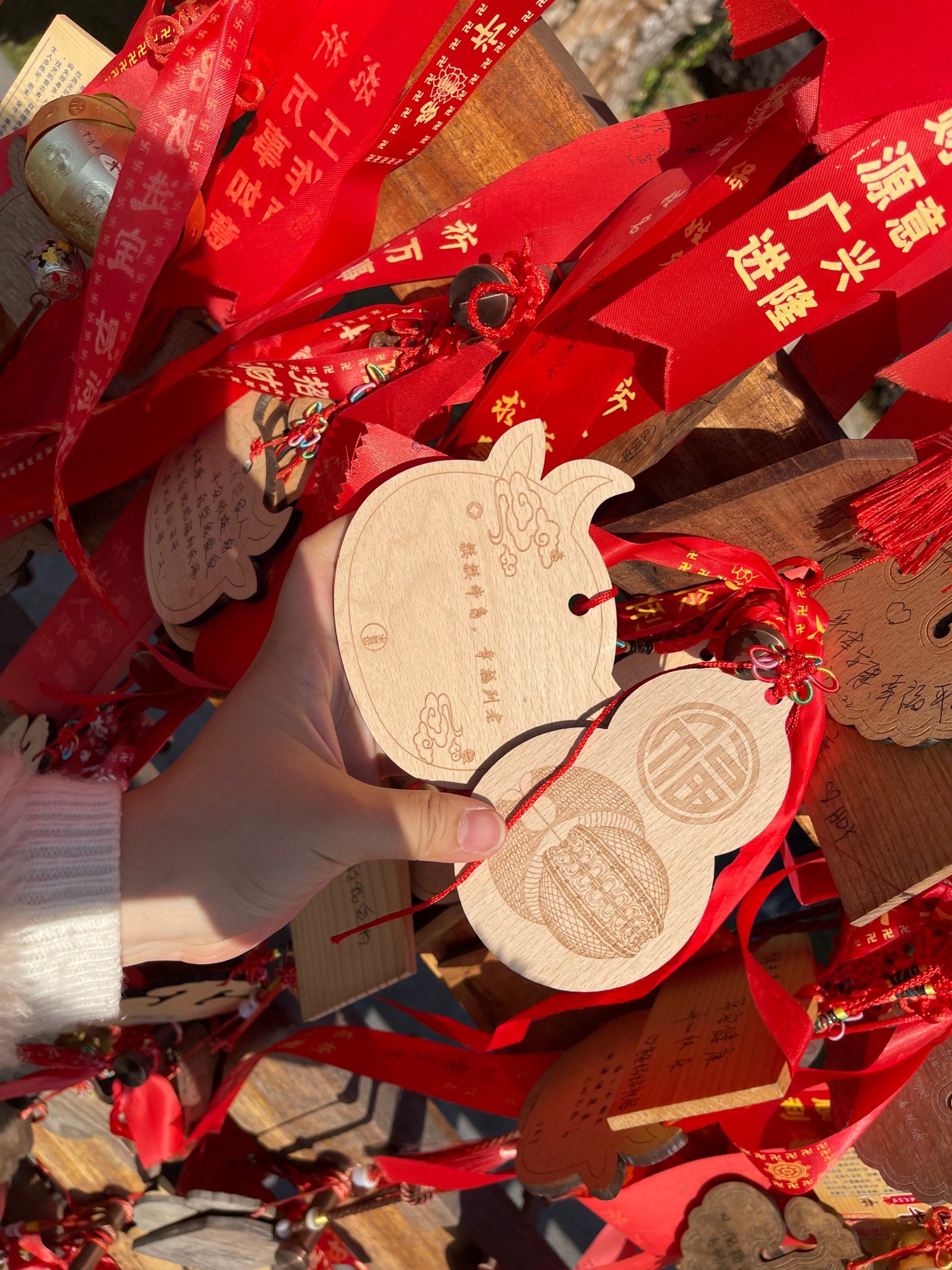 罗 牛 山：大东海退市系因财务类退市指标