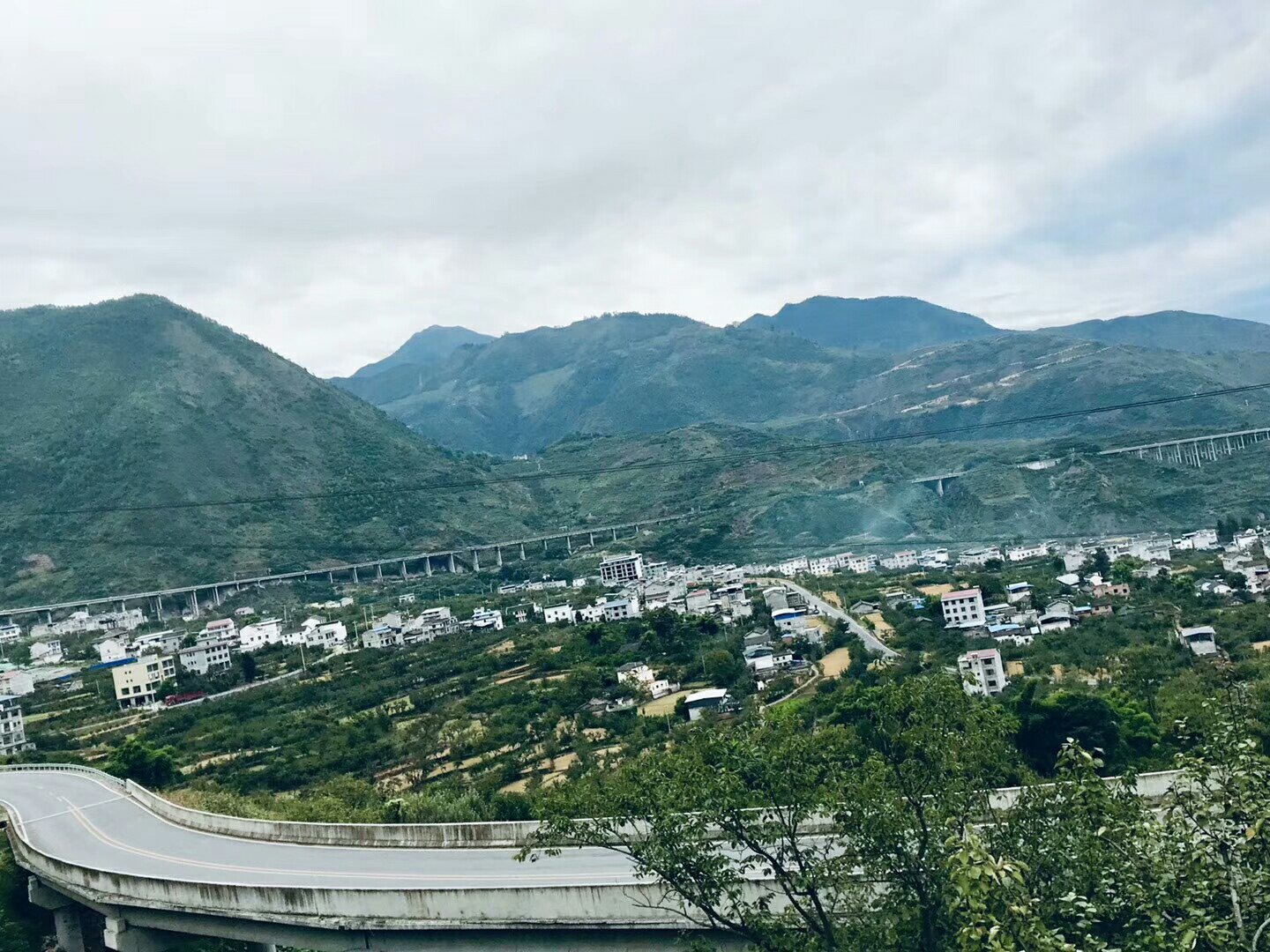 罗 牛 山：大东海退市系因财务类退市指标