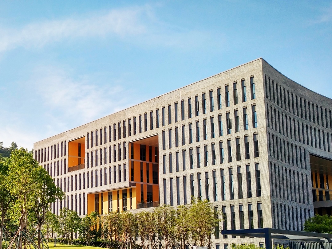 手握年报的审计师，竟然违规买卖这只股票！警示函来了