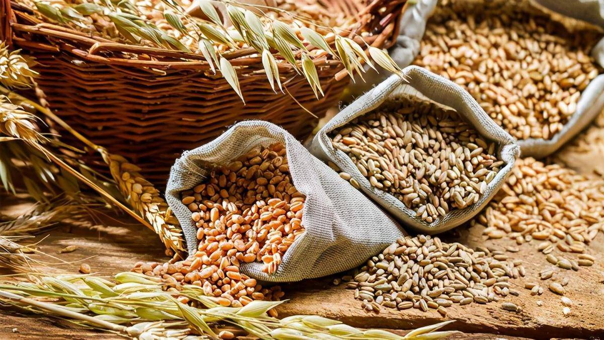 2025年谷物奶行业市场深度调研及发展趋势预测_人保有温度,人保护你周全