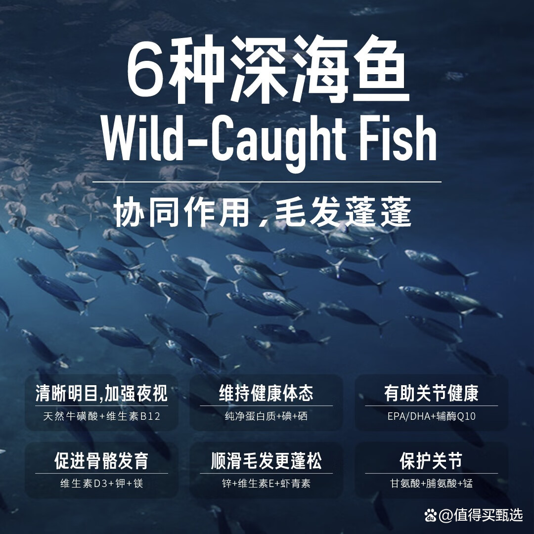 2025深海养殖行业发展现状及未来前景分析_人保车险   品牌优势——快速了解燃油汽车车险,人保财险 