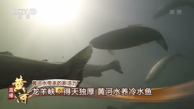 清水源龙虎榜数据（11月17日）