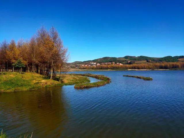 永安林业录得5天4板