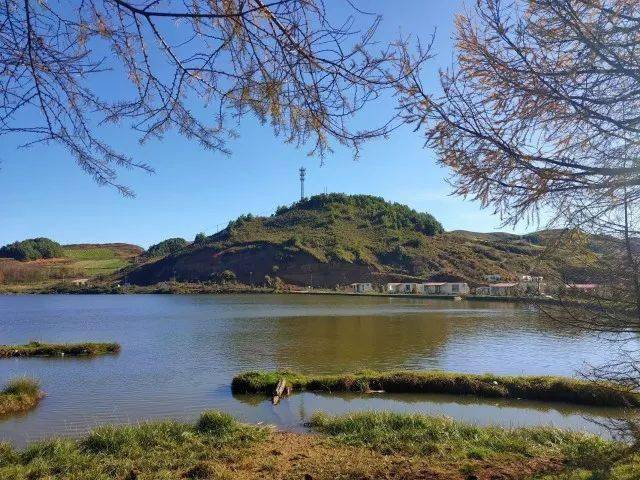 永安林业录得5天4板