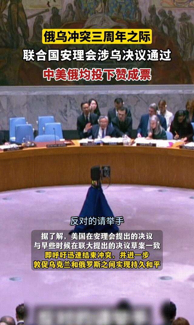 中国、俄罗斯投反对票