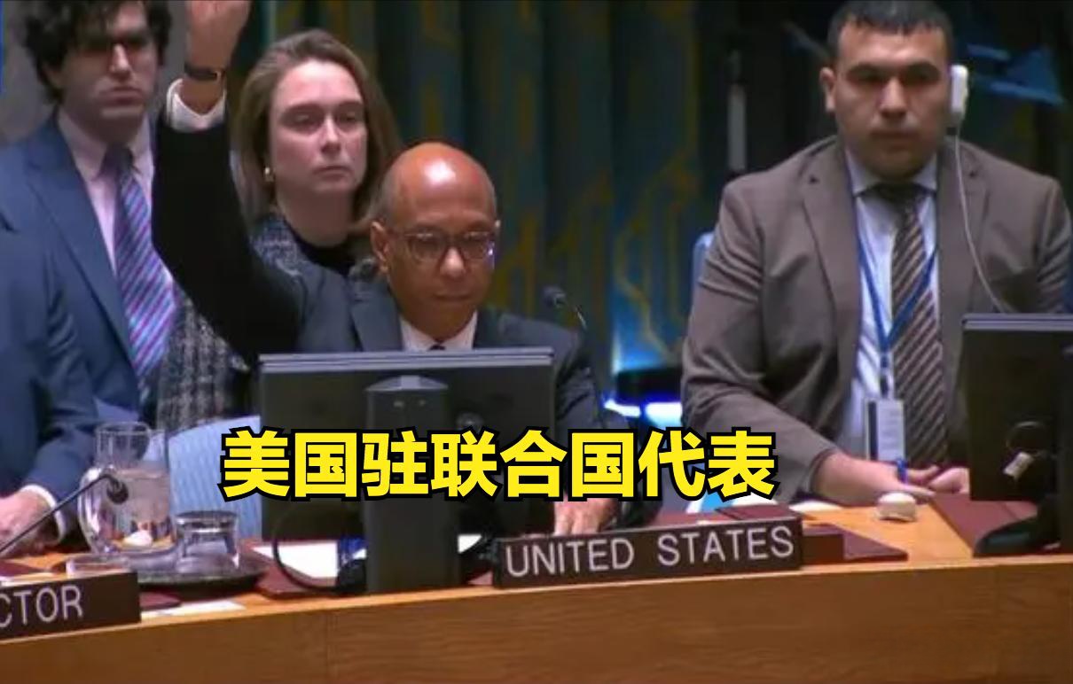 中国、俄罗斯投反对票