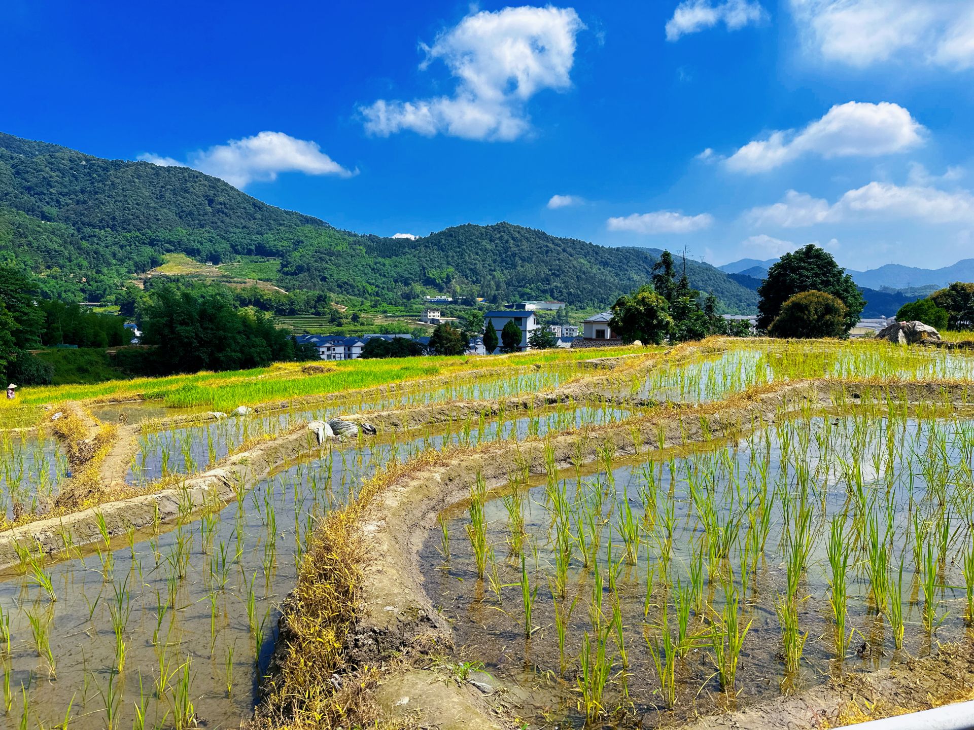 辽宁省厅调研耕地开垦费标准调整及补充耕地指标调剂管理工作