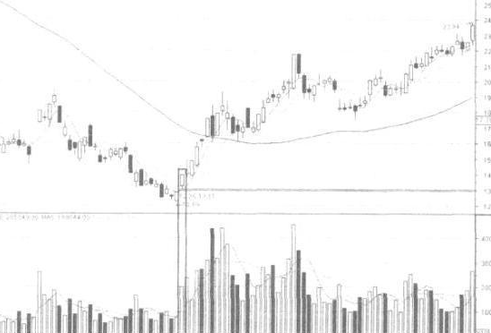 A股申购 | 泰凯英(920020.BJ)开启申购 专业从事矿山及建筑轮胎的设计、研发、销售与服务