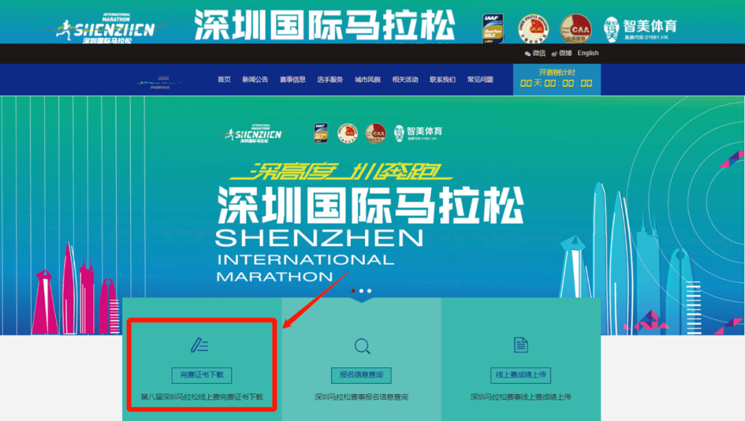 深 赛 格：新兴业务正处于战略培育期