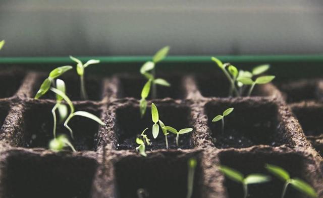 慧谷新材创业板IPO通过上市委会议 专注于高分子材料领域