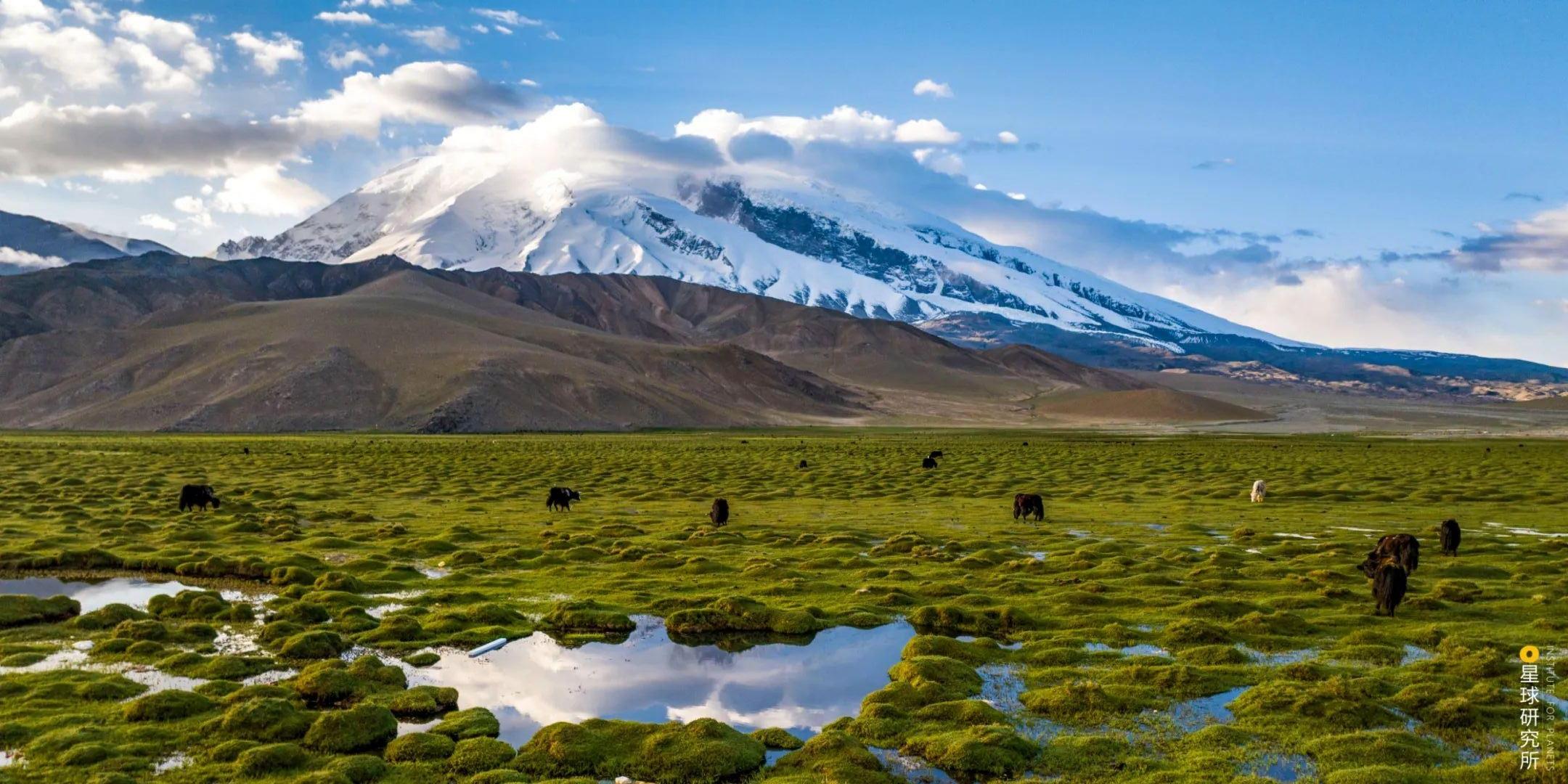 翼越雪山，货通四方！我国大型无人机开辟高原物流新“天路”