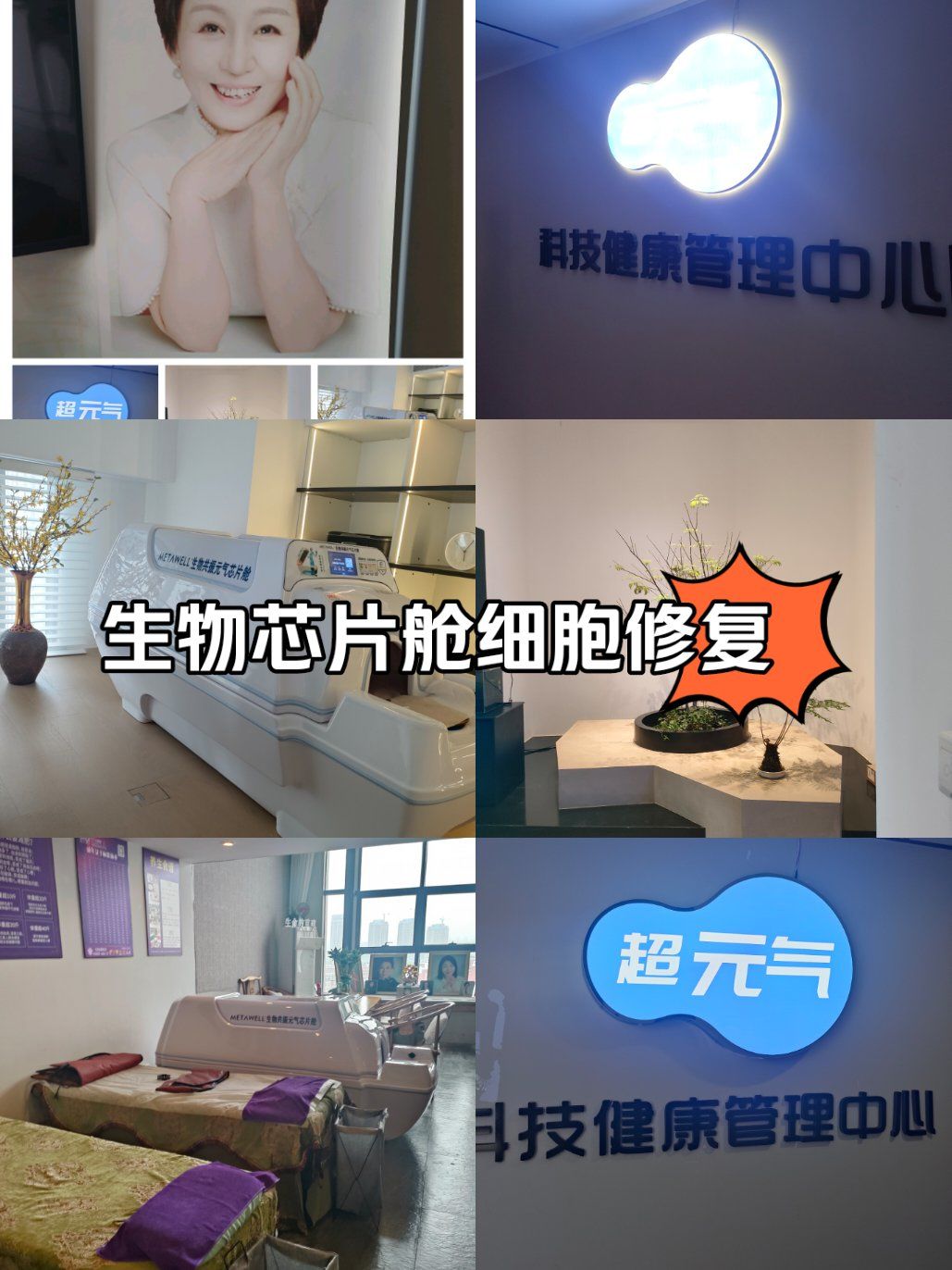 AI健康产品密集登场