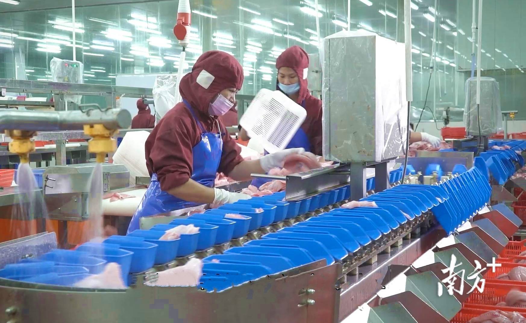 人保财险政银保 ,人保伴您前行_VR产业深度调研及发展现状、趋势分析2026