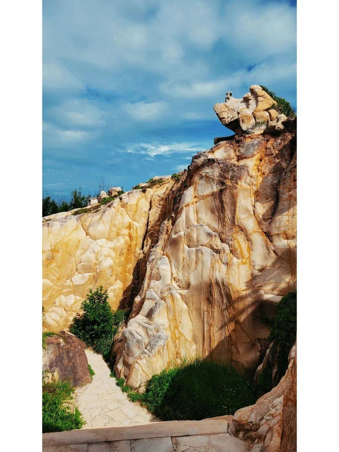 科学与健康丨对话“石头信使” 解码南极“身世之谜”