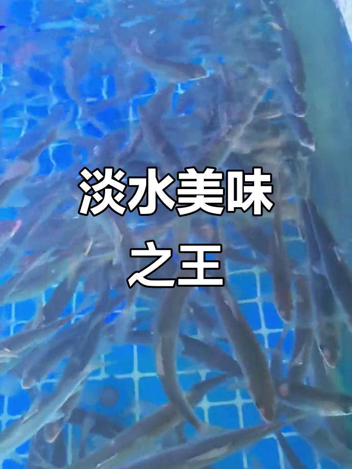 淡水泉陶冬：2026年，系好安全带，资产为王