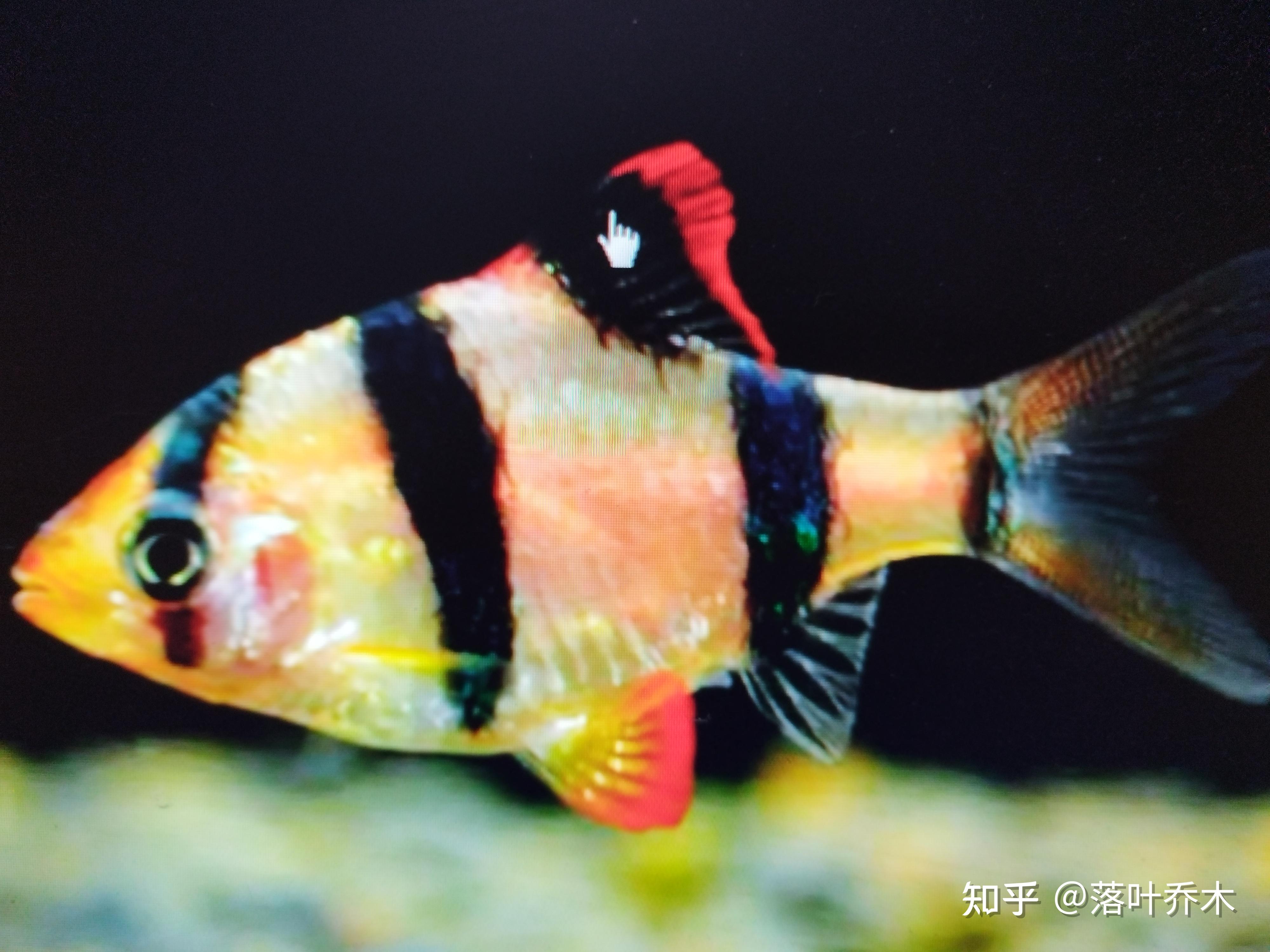 淡水泉陶冬：2026年，系好安全带，资产为王