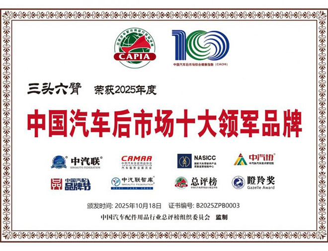 2025中国汽车行业十大年度品牌热点 | 精进2025――汽车行业10个十大年度盘点（五）