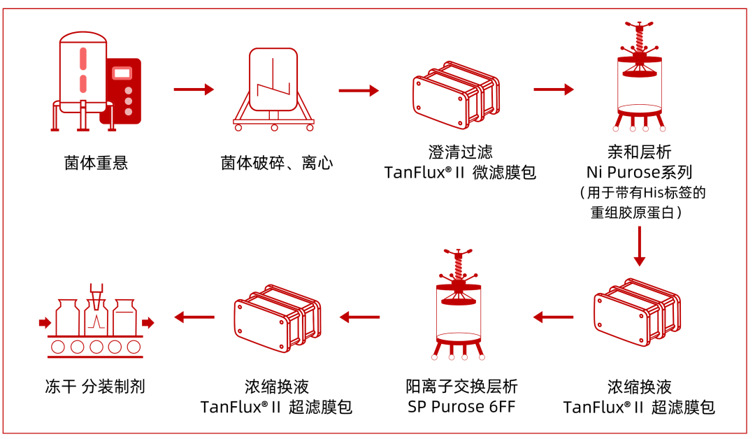 重组蛋白概念下跌0.62%，主力资金净流出41股