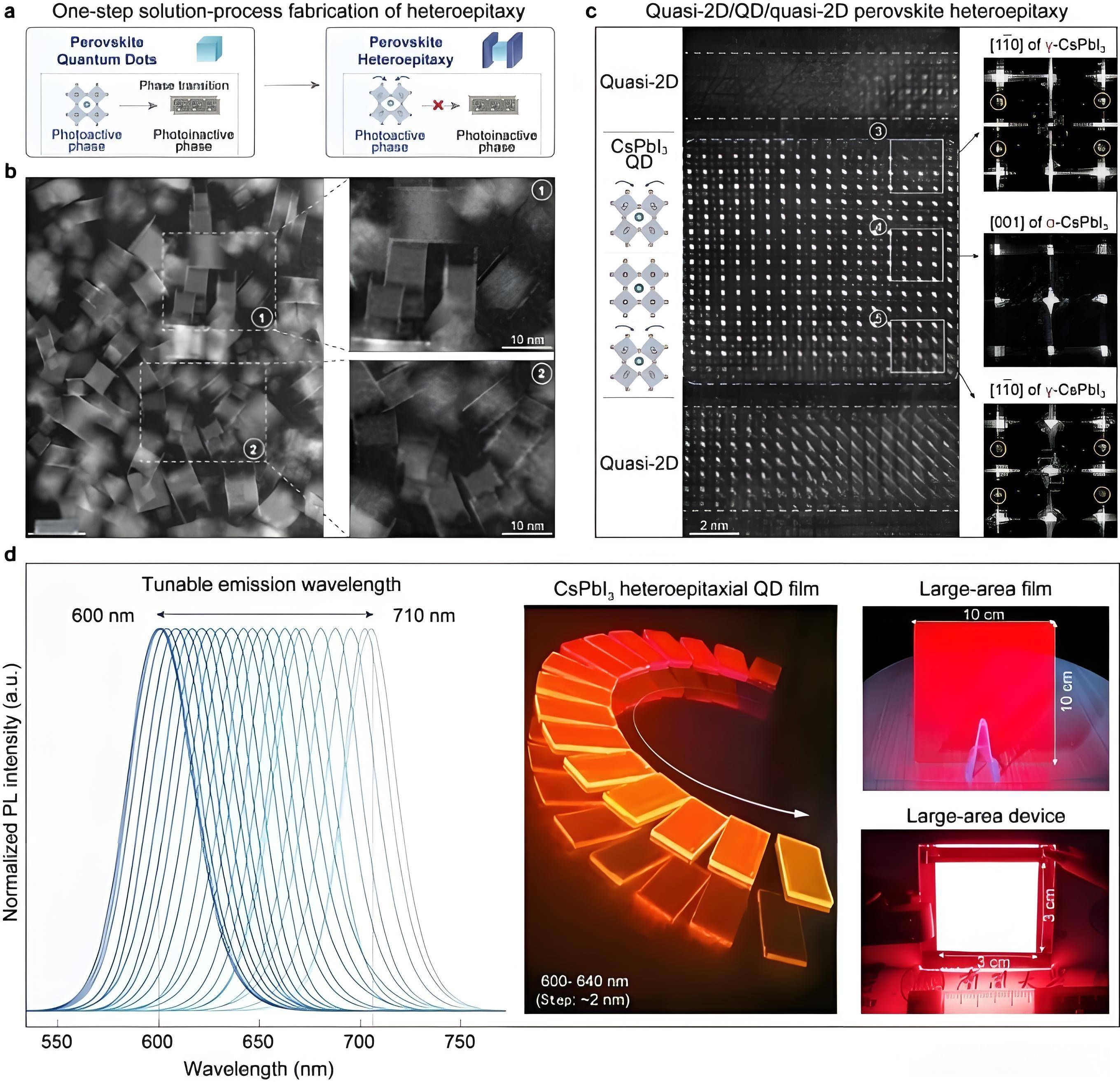 南大环境：深化与仁烁光能合作，探索钙钛矿新型光伏产品应用